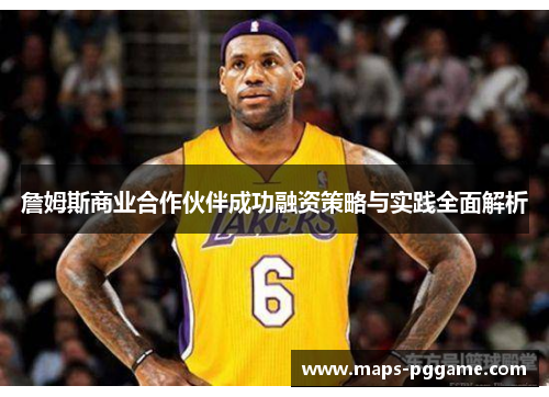 詹姆斯商业合作伙伴成功融资策略与实践全面解析 詹姆斯商业合作伙伴成功融资策略与实践全面解析